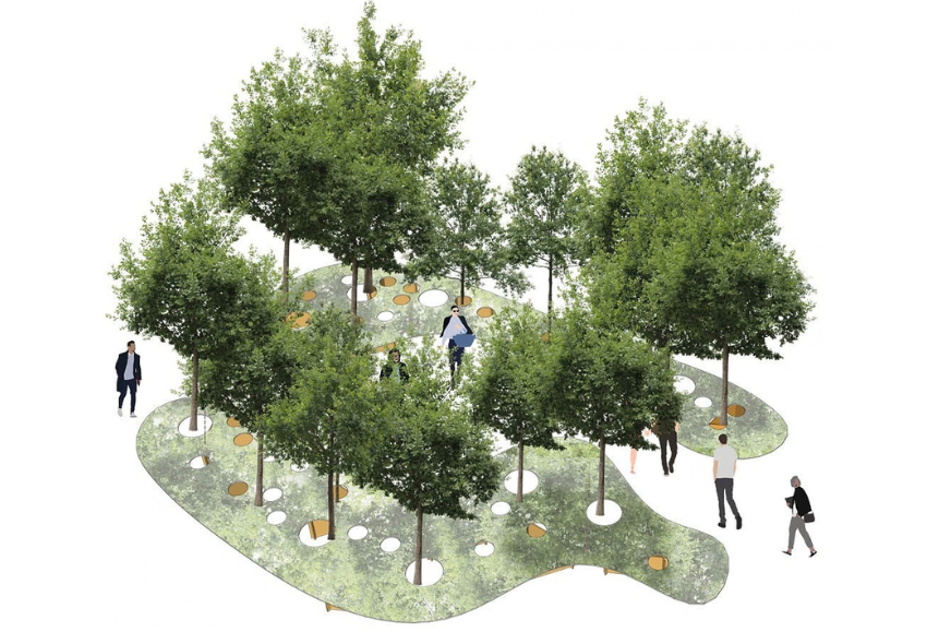 bosque-iberflora