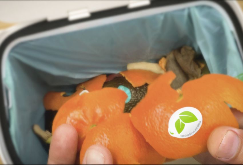 etiquetado frutas