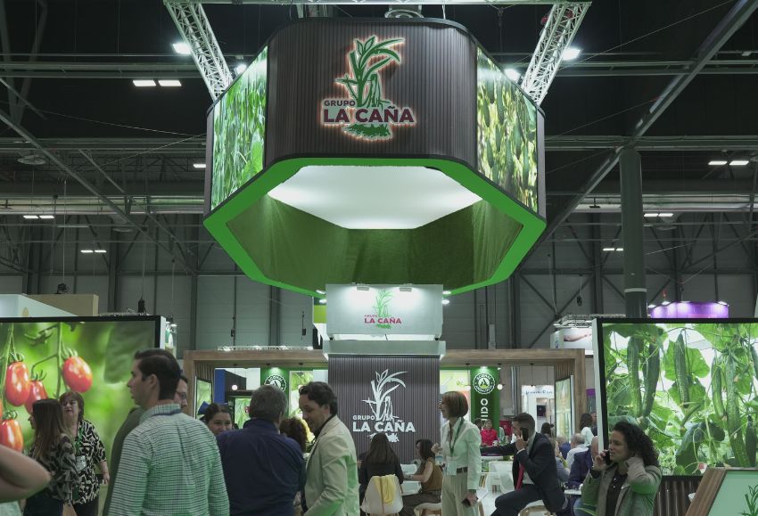 grupo la caña en la fruit