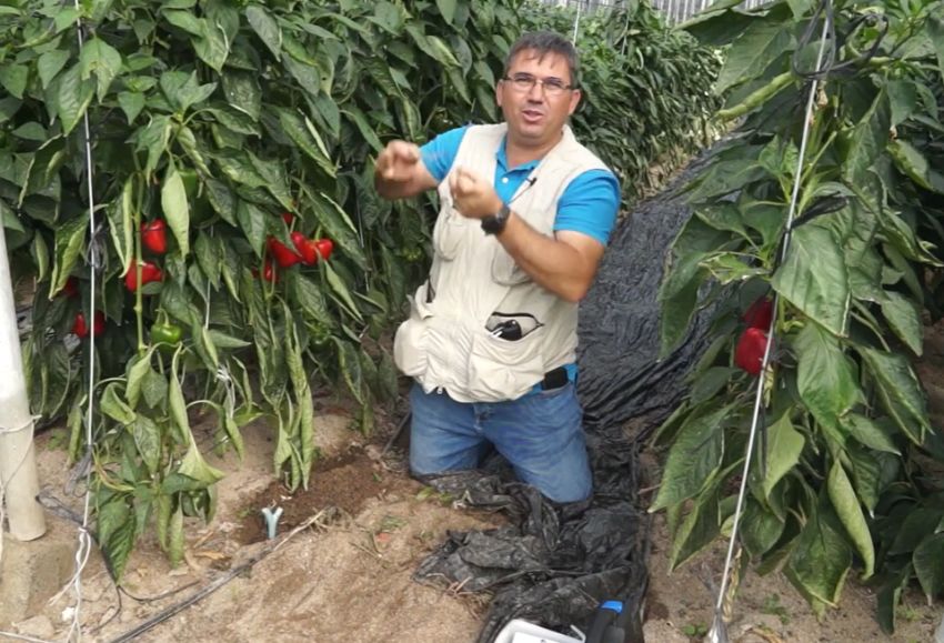 recursos ecológico