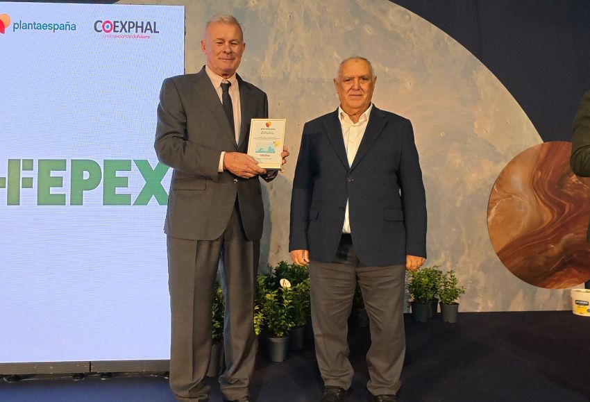 premio plantaespaña