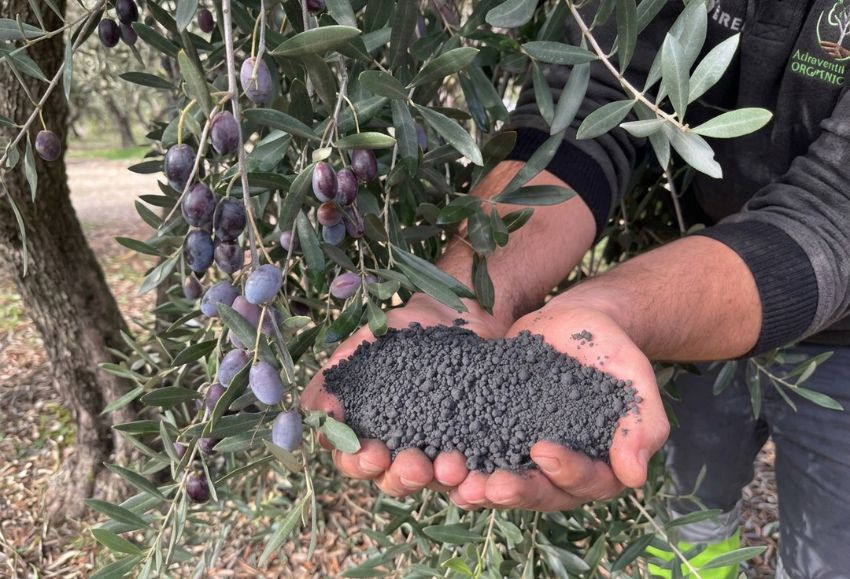 biochar