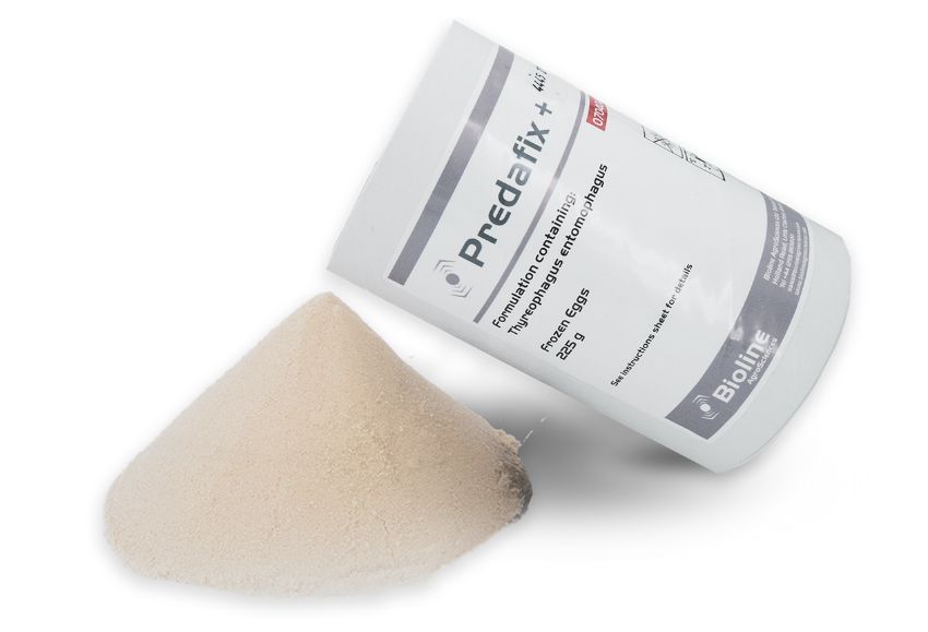 bioline-iberia (2)
