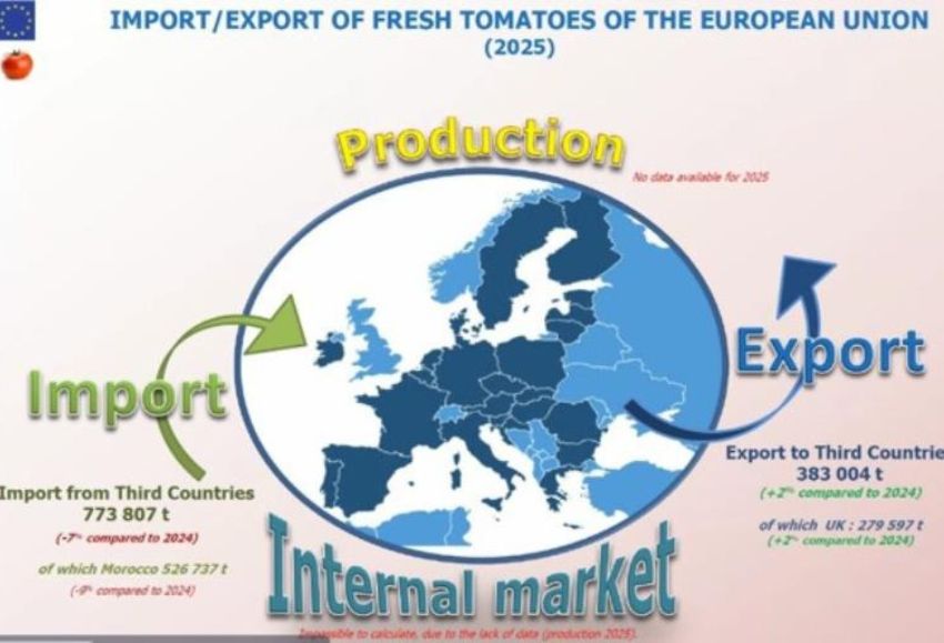 export import tomate