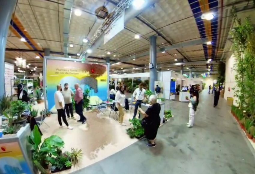 iberflora plantaespaña