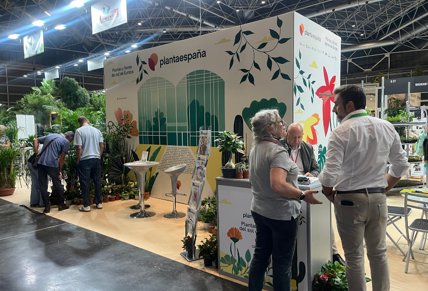 plantaespaña-iberflora