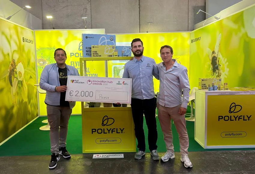 polifly (1)