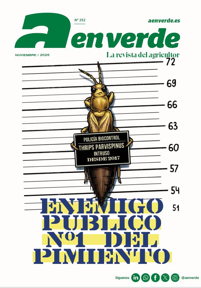 portada 252