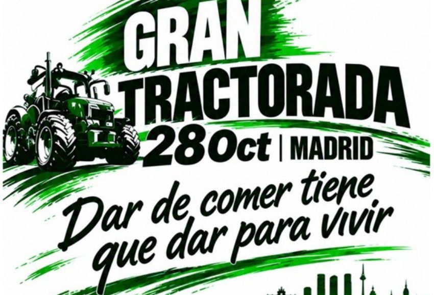 protesta 28 octubre