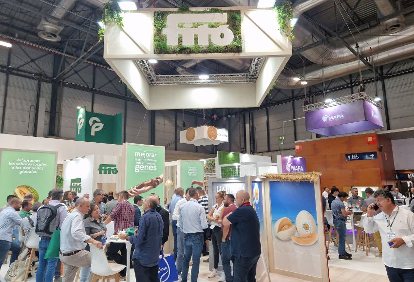 stand fito