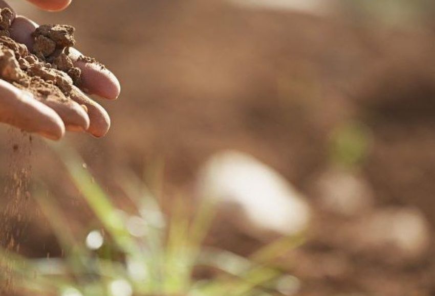 suelo-biofertilizantes