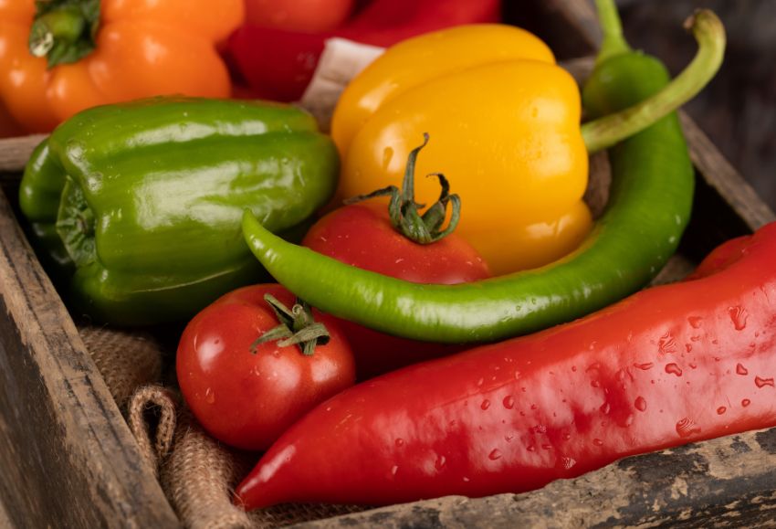 tomate-pimiento